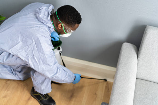 Best Fumigation Services  in Beaver, PA